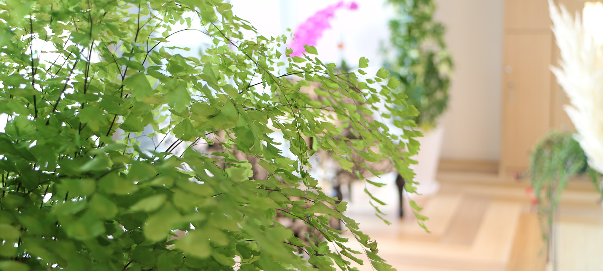 大分市東大道　シェアサロンエムズ　share salon M's